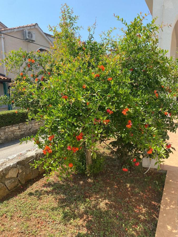 Apartment Ana Borovac Funtana